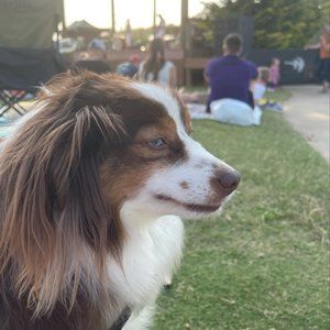 Meet your Posher, Todd